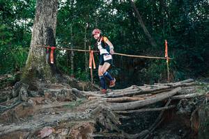 BIB: 
                            <button type="button" onclick="openModal(27315725)" class="btn btn-primary btn-sm float-right btn-popup" data-toggle="modal" data-target=".modal-high-quality">
                        <i class="fas fa-shopping-cart"></i> Add to Cart
                    </button>
                                            <button type="button" onclick="isThisMe(27315725, true)" class="btn btn-success btn-sm float-right btn-popup btn-isme hidden" data-toggle="tooltip" data-placement="bottom" title="นี่คือรูปของคุณใช่ไหม คลิกที่นี่เพื่อเอาเข้าอัลบั้ม">
                        <i class="fas fa-plus"></i> Add to album
                    </button>
                    <button type="button" onclick="isThisMe(27315725, false)" class="btn btn-warning btn-sm float-right btn-popup btn-isnotme hidden">
                        <i class="fas fa-ban"></i> Remove from album
                    </button>